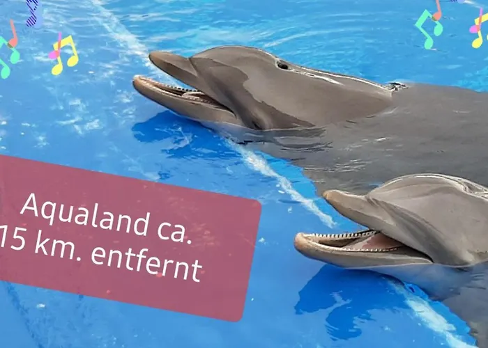 New Appartement, Fully Air Conditioned, South Tenerife!